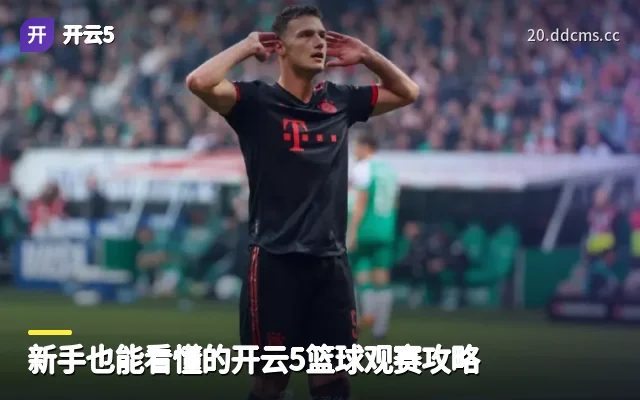 新手也能看懂的开云5篮球观赛攻略